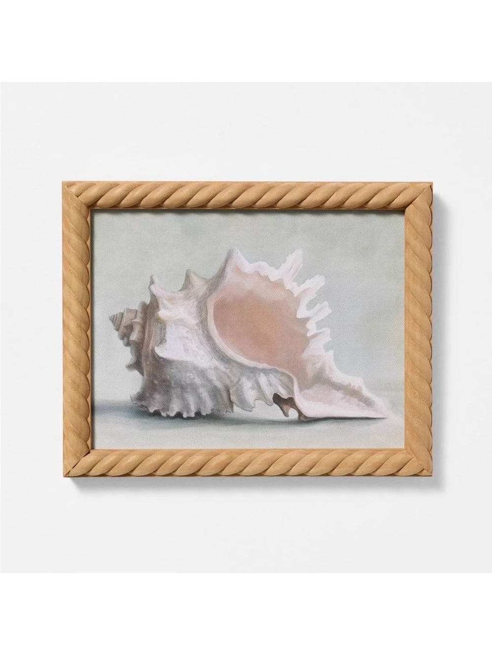 10"x8" Shell Framed Art - Threshold™ designed with Studio McGee Seashell NEW